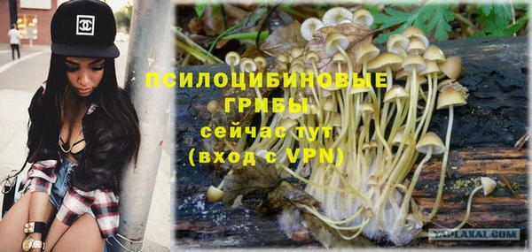 дживик Балахна