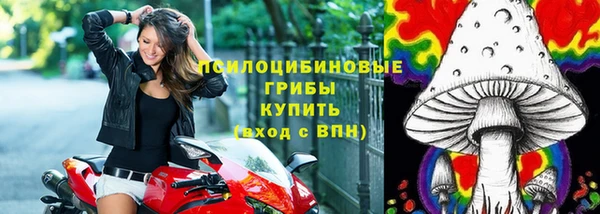дживик Балахна